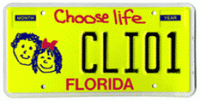 FLclplate